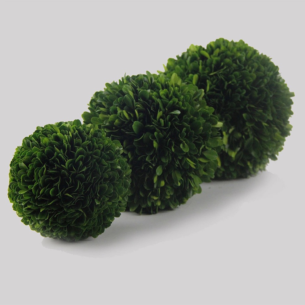 Preserved boxwood ball