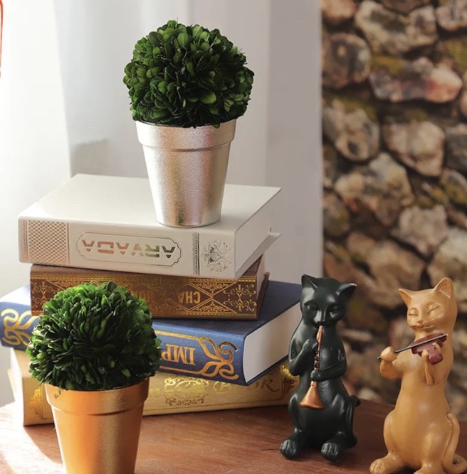 Preserved boxwood ball topiary