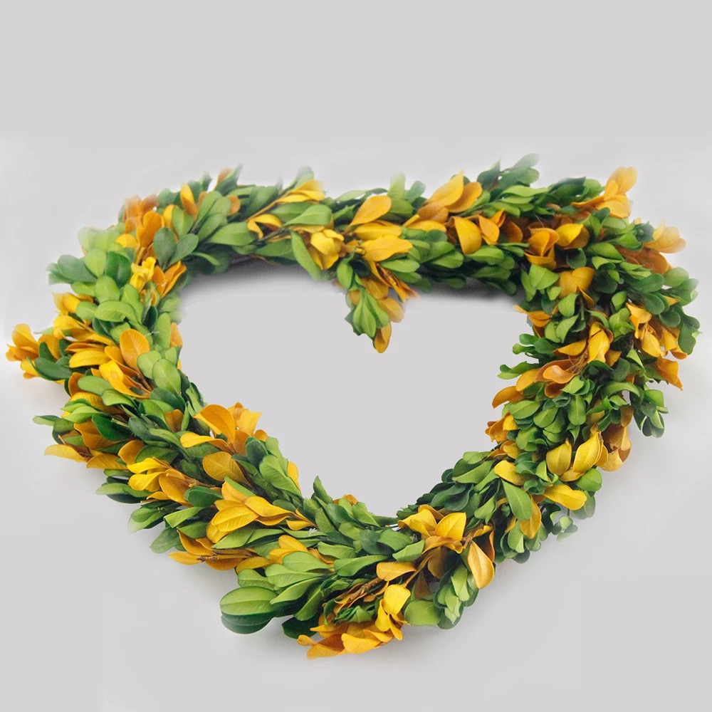 Preserved boxwood wreath