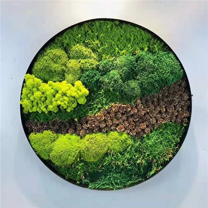 Preserved moss wall frame