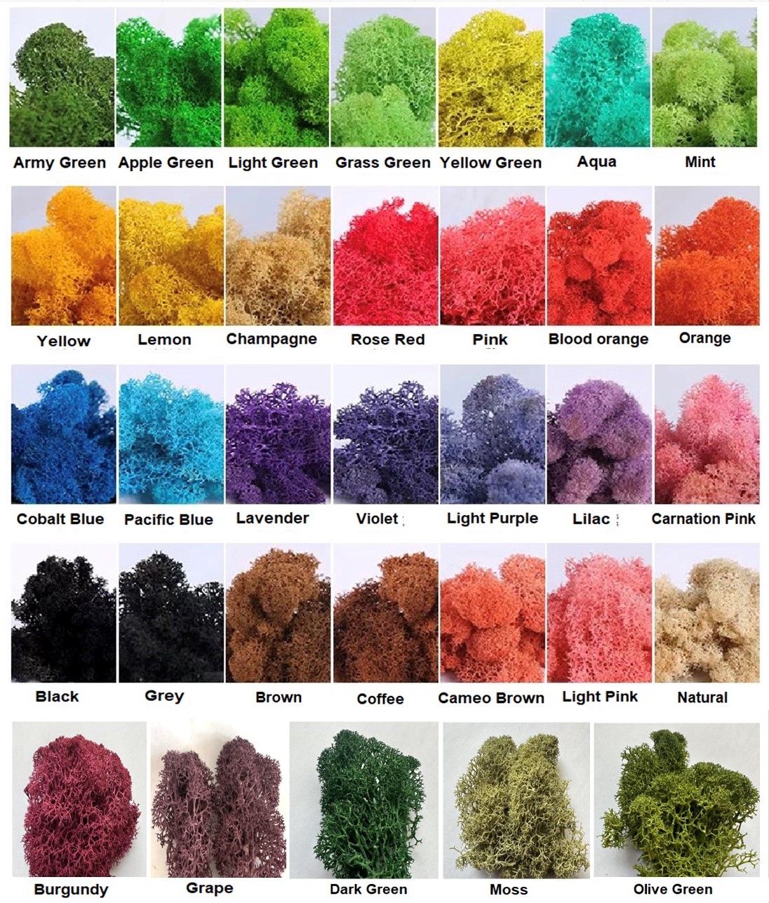 Moss color chart